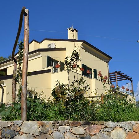Joie De Vivre Bed & Breakfast Calice Ligure Exterior photo